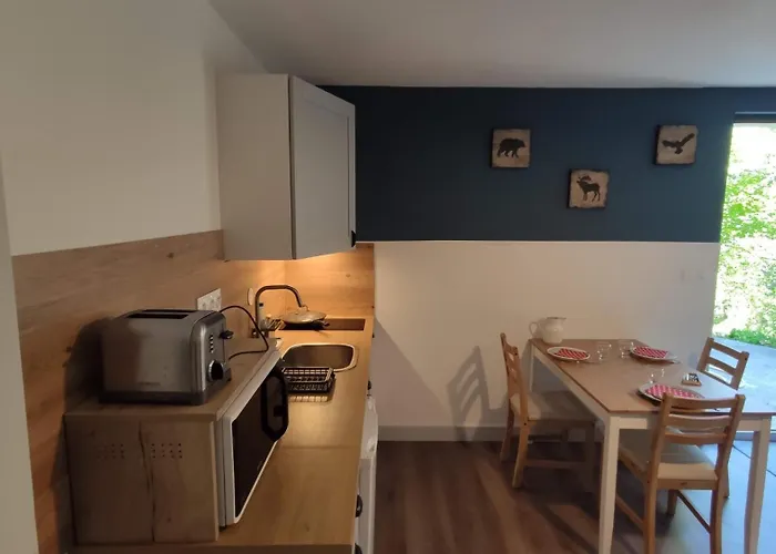 Apartment Roches Rousses *